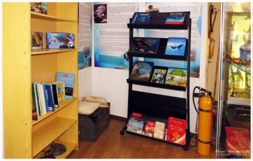 Le fonds Michel-Rua comprend de très beaux livres sur la mer dont ceux-ci. Coussins sur une caisse Spiro!