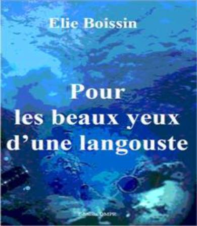 Prochain livre d'Elie Boissin
